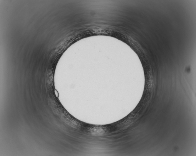 X0000115250513200912111120