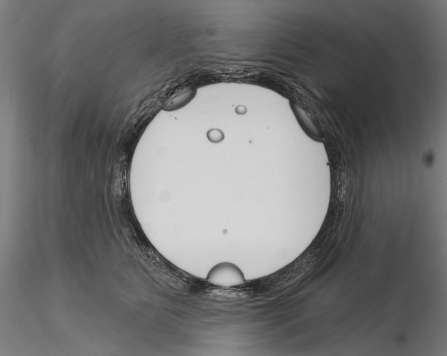 X0000115250515200912111120