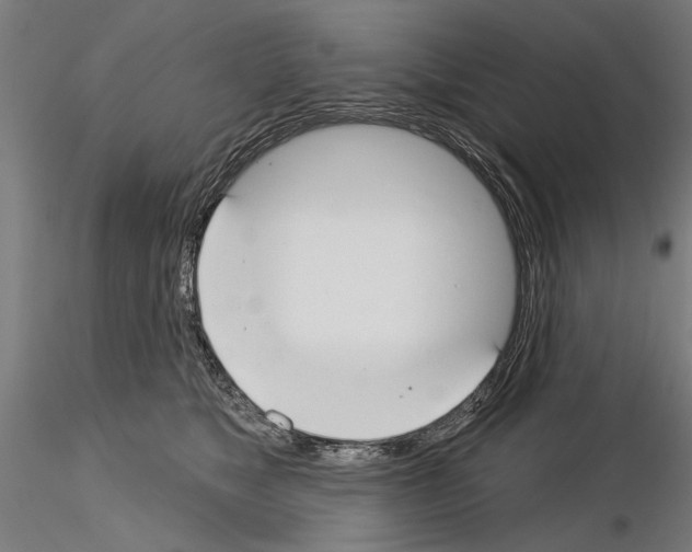 X0000115250517200912111120