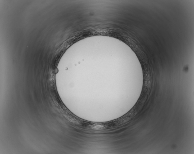 X0000115250518200912111120