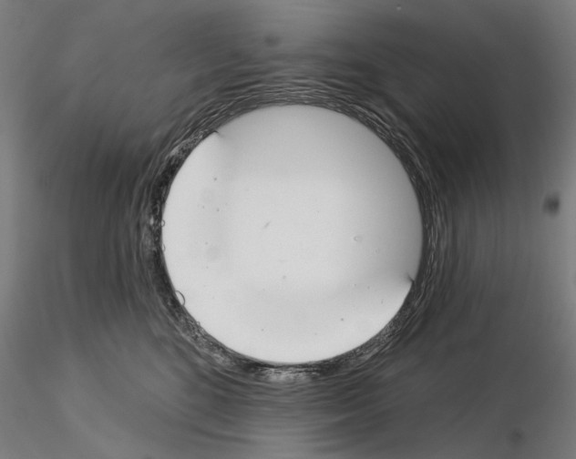 X0000115250520200912111120