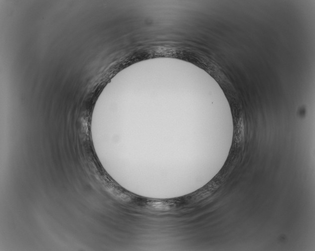 X0000115250522200912111120