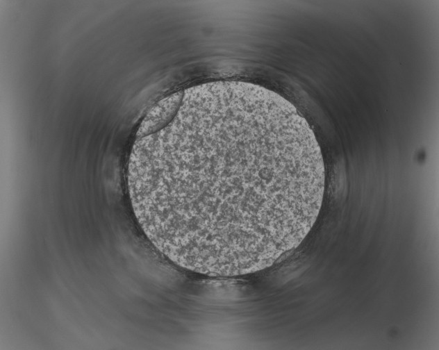 X0000115250524200912111120