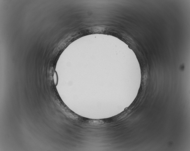 X0000115250525200912111120