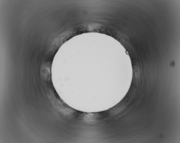 X0000115250527200912111119