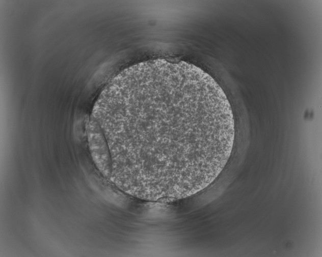 X0000115250528200912111119