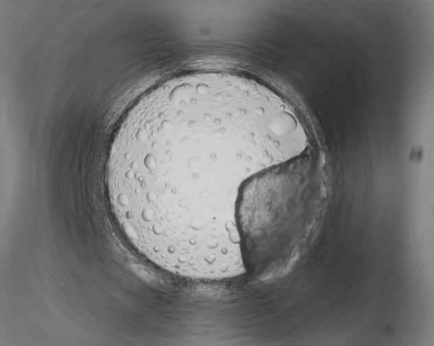 X0000115250529200912111119