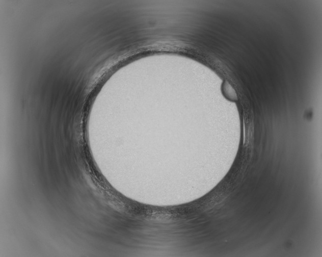 X0000115250531200912111119