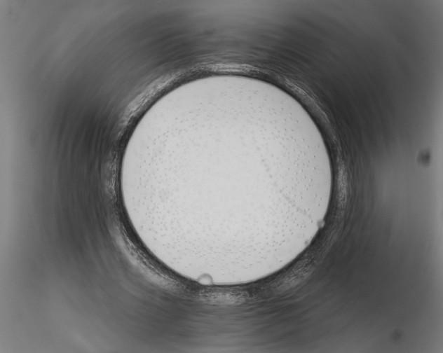 X0000115250533200912111119