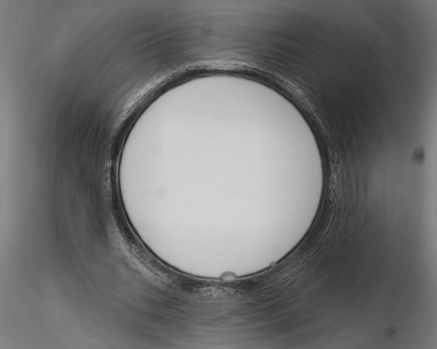 X0000115250535200912111119