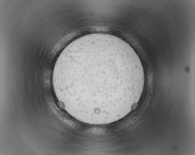 X0000115250537200912111119