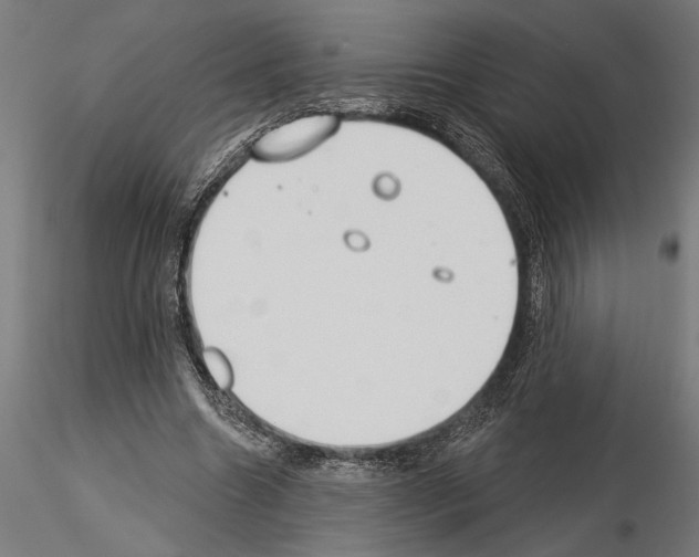 X0000115250538200912111119