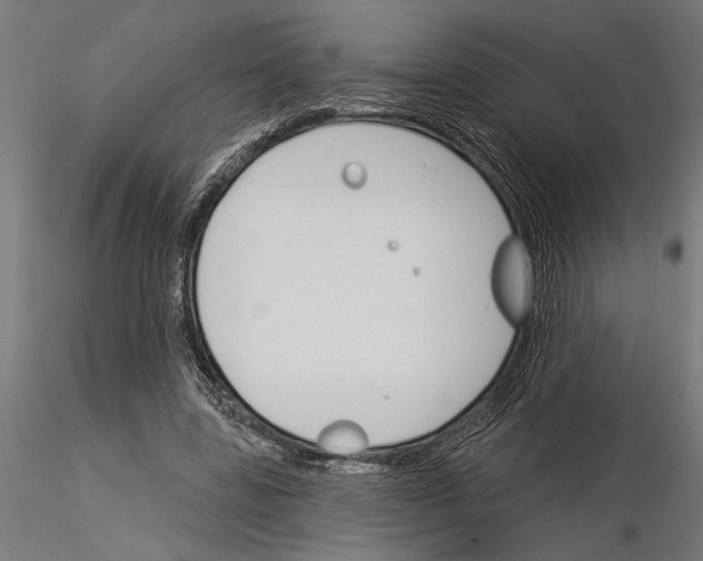 X0000115250539200912111119