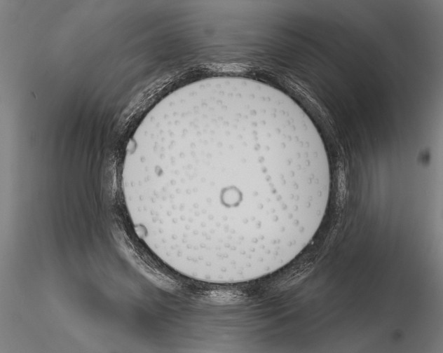 X0000115250541200912111119