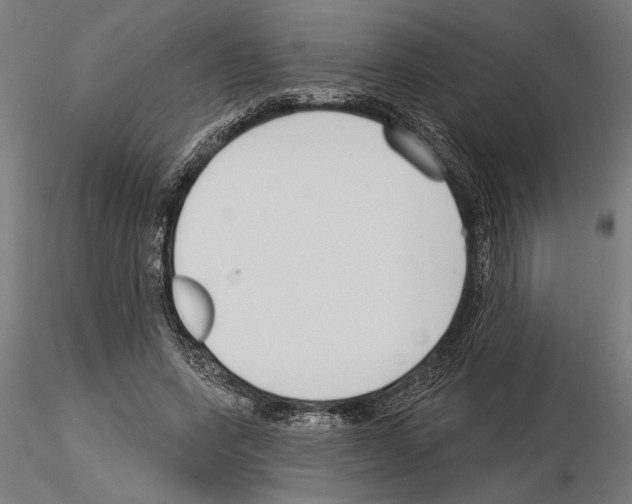 X0000115250543200912111119