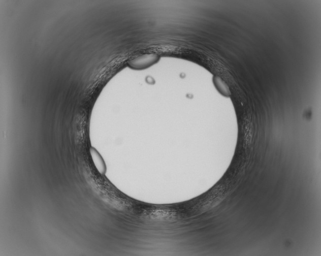 X0000115250546200912111119