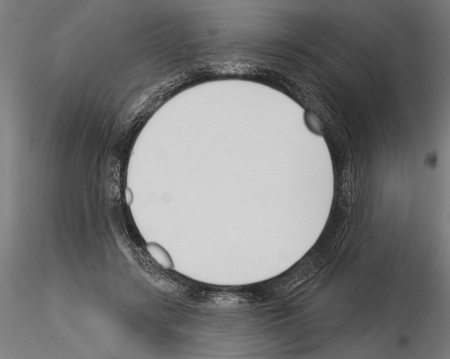 X0000115250547200912111119