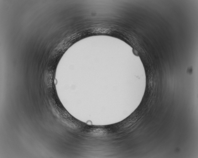 X0000115250551200912111119