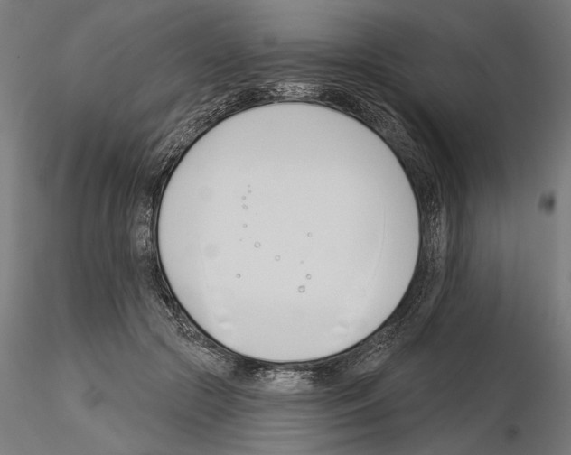 X0000115250553200912111119