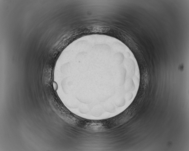 X0000115250554200912111119