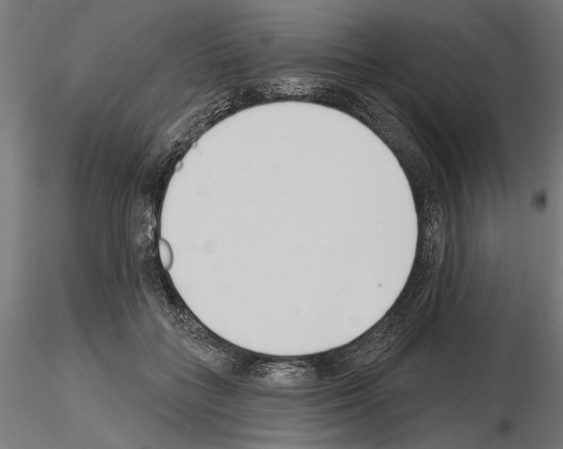 X0000115250555200912111119