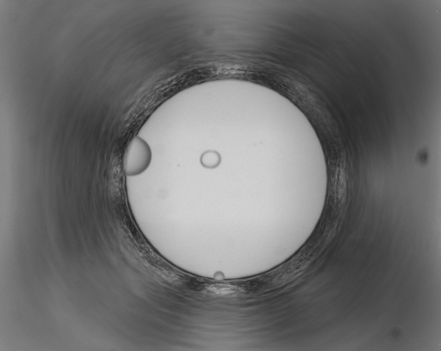 X0000115250557200912111119