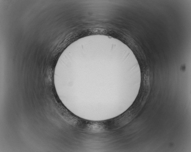 X0000115250561200912111119