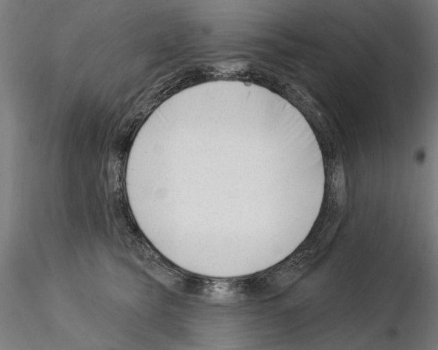 X0000115250565200912111119