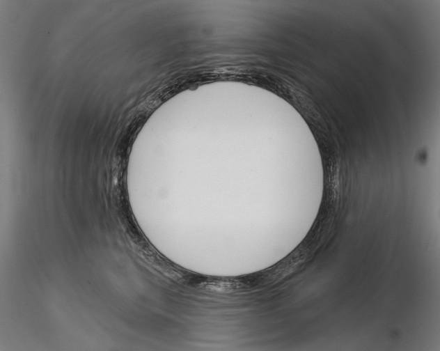 X0000115250567200912111119