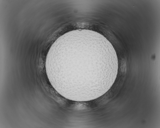 X0000115250569200912111119