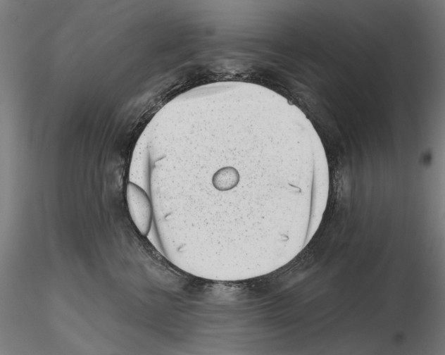 X0000115250570200912111119