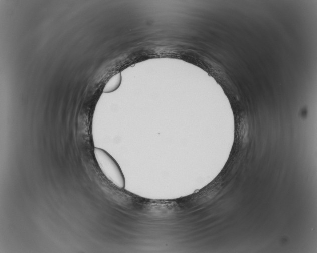 X0000115250571200912111119