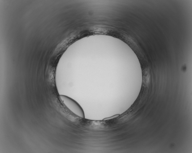 X0000115250573200912111119