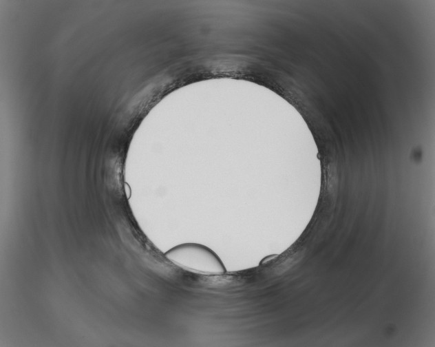 X0000115250575200912111119