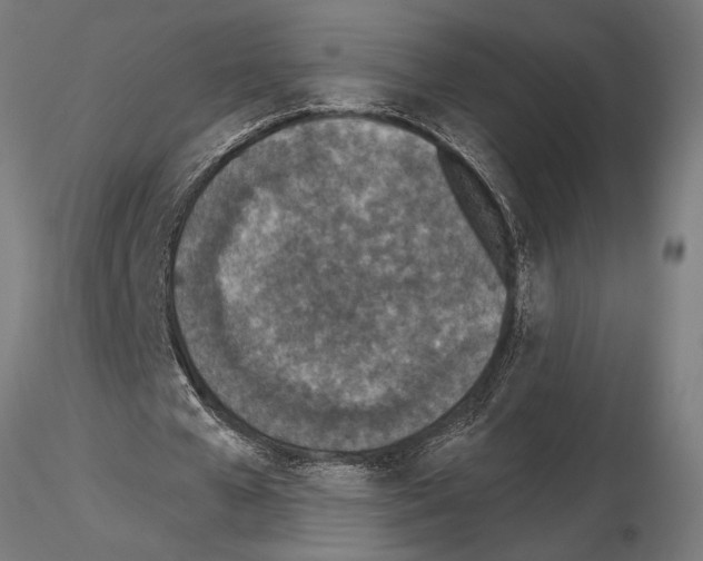 X0000115250577200912111119