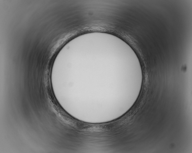 X0000115250578200912111119