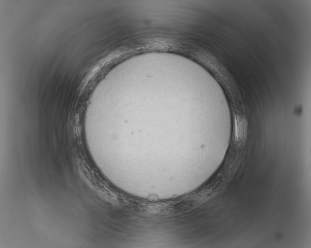 X0000115250579200912111119