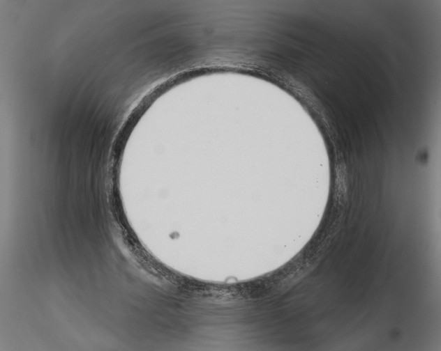 X0000115250580200912111119