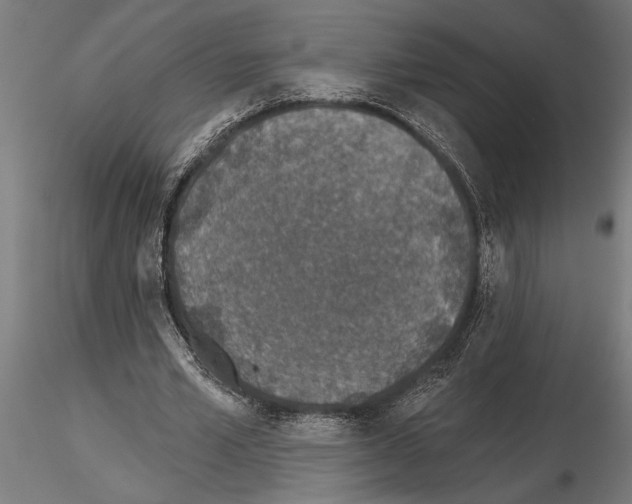 X0000115250581200912111119