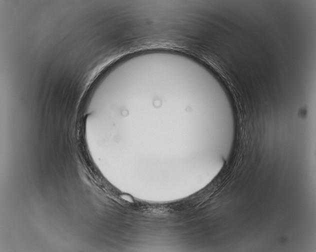 X0000115250583200912111119