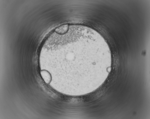 X0000115250584200912111119