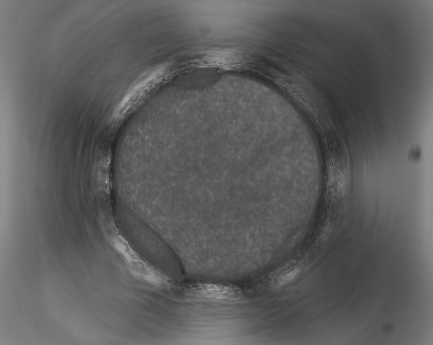 X0000115250585200912111119