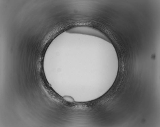 X0000115250586200912111119