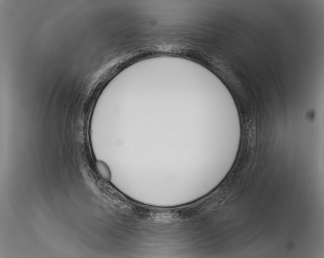 X0000115250587200912111118