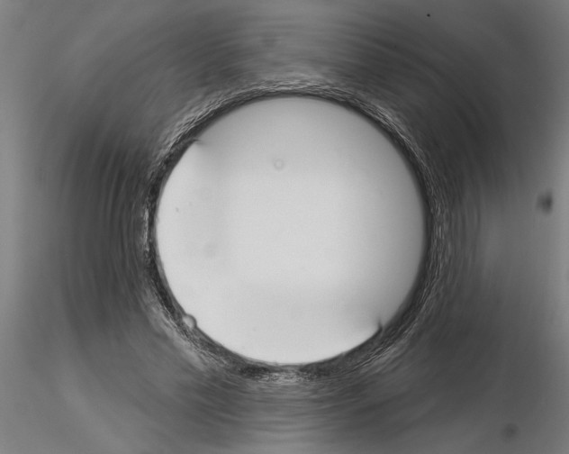 X0000115250589200912111118