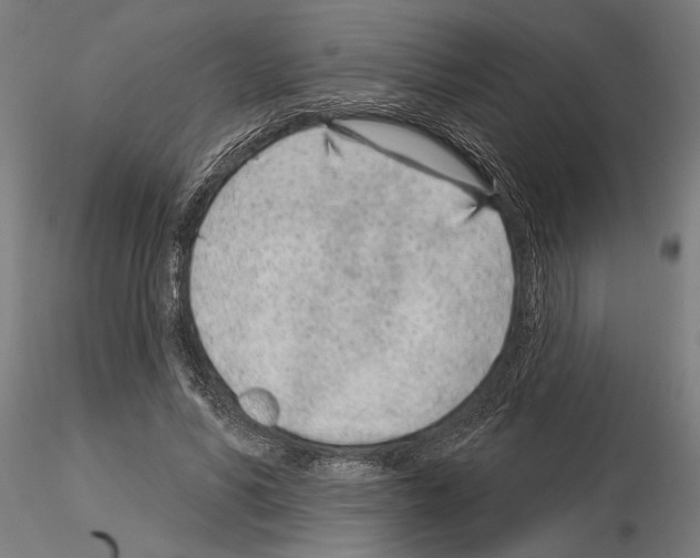 X0000115250590200912111118