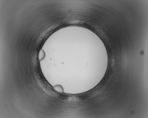 X0000115250591200912111118