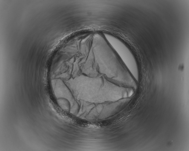 X0000115250592200912111118