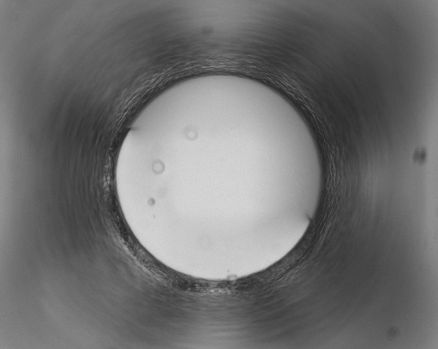 X0000115250593200912111118