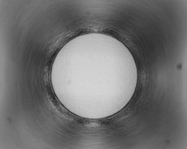 X0000115250594200912111118